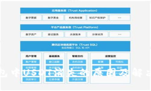 TP钱包中USDT消失的原因及解决方案