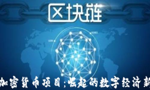 
伊朗加密货币项目：崛起的数字经济新机遇