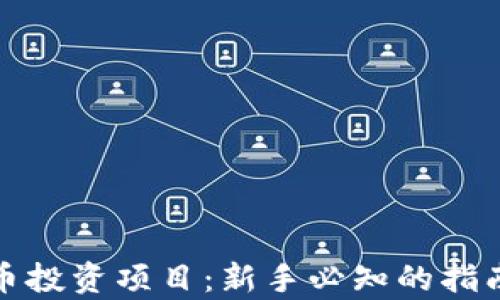 
加密数字货币投资项目：新手必知的指南与风险分析