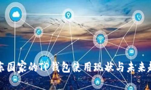 中东国家的TP钱包使用现状与未来趋势
