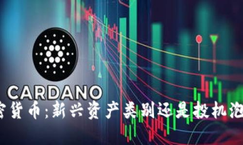 加密货币：新兴资产类别还是投机泡沫？