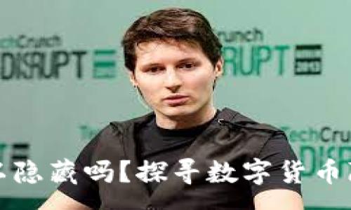 :
TP钱包记录可以隐藏吗？探寻数字货币隐私保护的真相