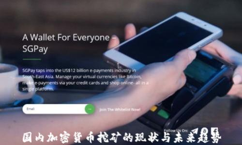 
国内加密货币挖矿的现状与未来趋势