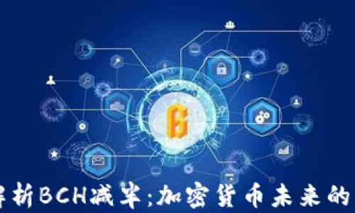 
深入解析BCH减半：加密货币未来的转折点