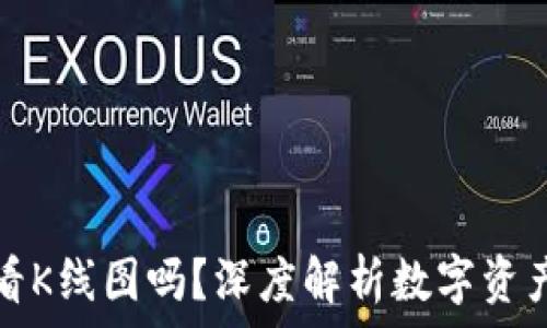   
TP钱包能看K线图吗？深度解析数字资产交易工具