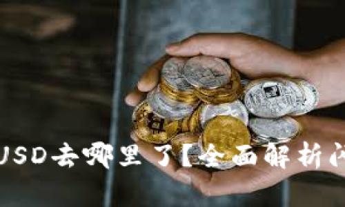 TP钱包闪兑的USD去哪里了?全面解析闪兑流程与成本