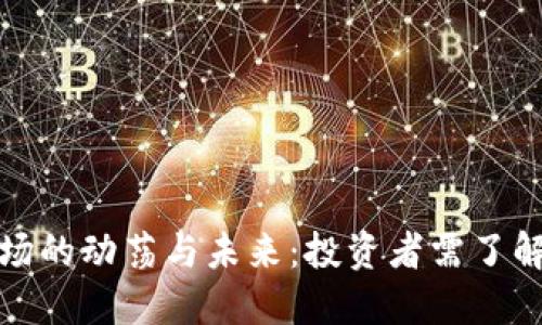 加密货币市场的动荡与未来：投资者需了解的关键要素