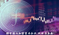 探索国内加密货币企业：现状与未来