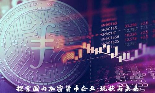 探索国内加密货币企业:现状与未来