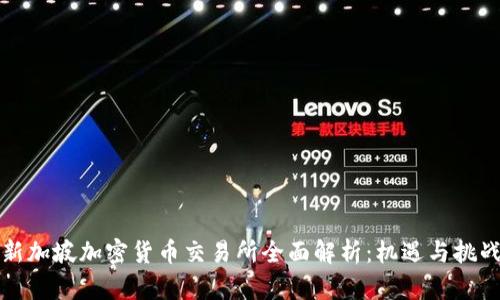 新加坡加密货币交易所全面解析:机遇与挑战